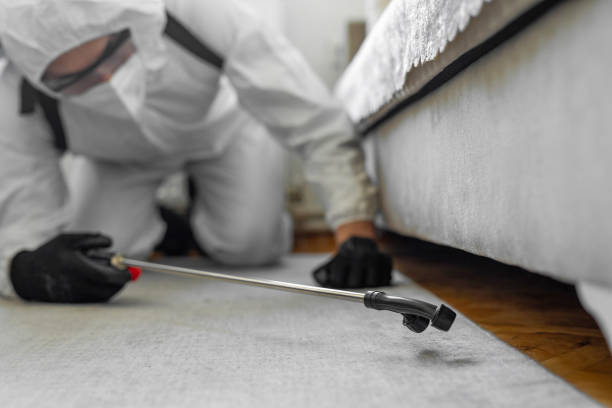 Professional Termite Control technician working in Heath, OH