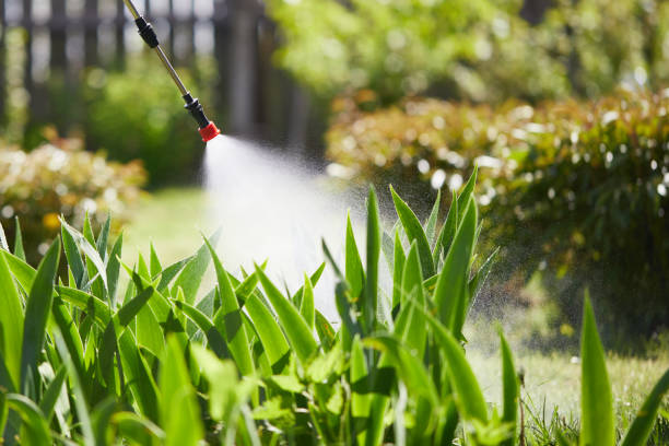 24/7 Emergency Termite Control experts in Heath, OH